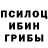 Галлюциногенные грибы мухоморы Mihalhs