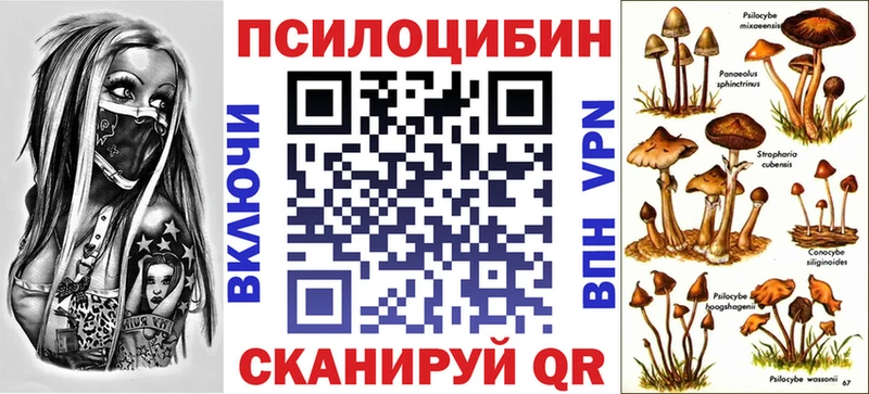 Галлюциногенные грибы GOLDEN TEACHER Купить где Гаврилов-Ям